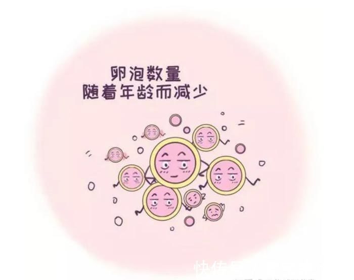 供卵生男孩价格