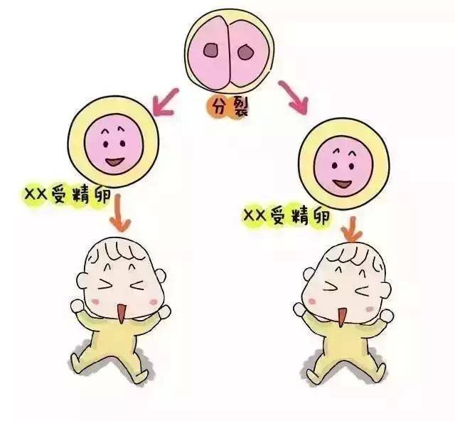 供卵代孕生男孩