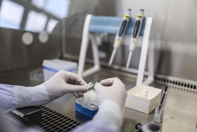 供卵代孕生男孩