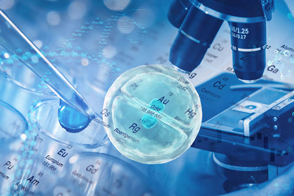 供胚移植试管婴儿