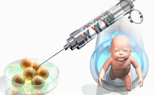 试管婴儿助孕